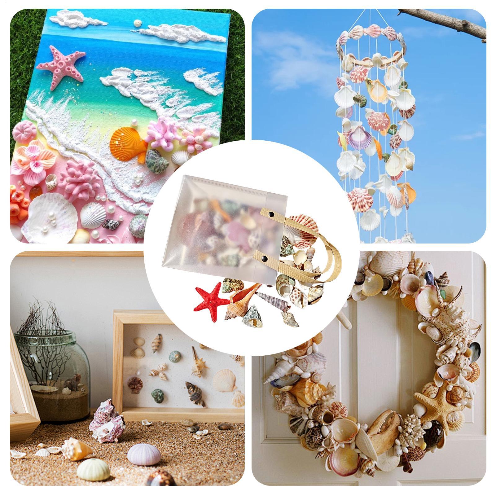 Tiny Shells Natural Sea Theme  - đánh giá và giá Candle Making For Kids
